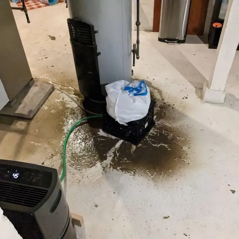 Sewage Backup Cleanup Service in Bessemer, AL